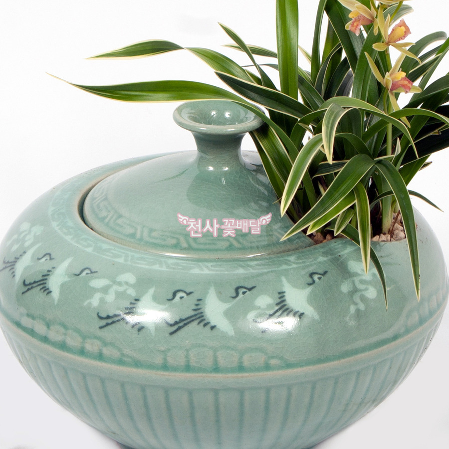 상세이미지