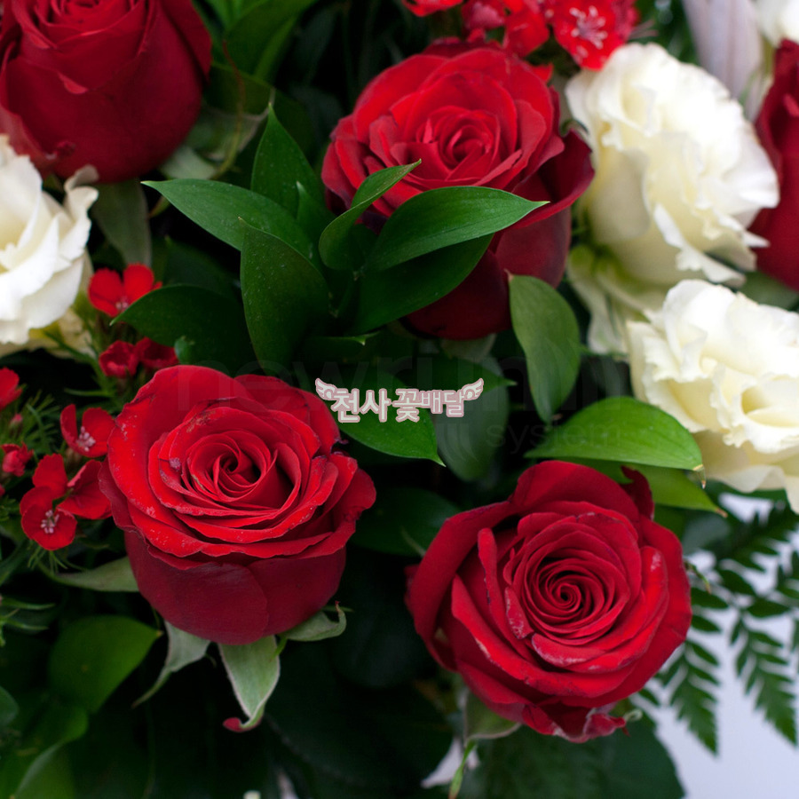 상세이미지
