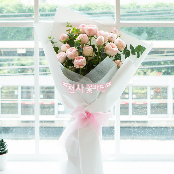 청초한 사랑